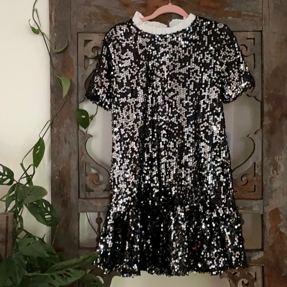 NWT Sequin Ruffle Dress
